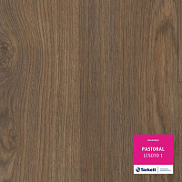 Линолеум Tarkett Pastoral LESOTO 1 фото 1 | FLOORDEALER